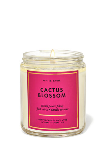 Cactus Blossom mist?? : r/bathandbodyworks